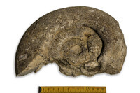 F 02003
<br/>
<br/>
<em></em>